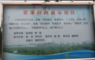 金秋果鄉(xiāng)行，魅力試驗(yàn)站——西北農(nóng)林科技大學(xué)白水蘋果試驗(yàn)示范站“瑞陽”“瑞雪”新品種觀摩會(huì)紀(jì)實(shí)