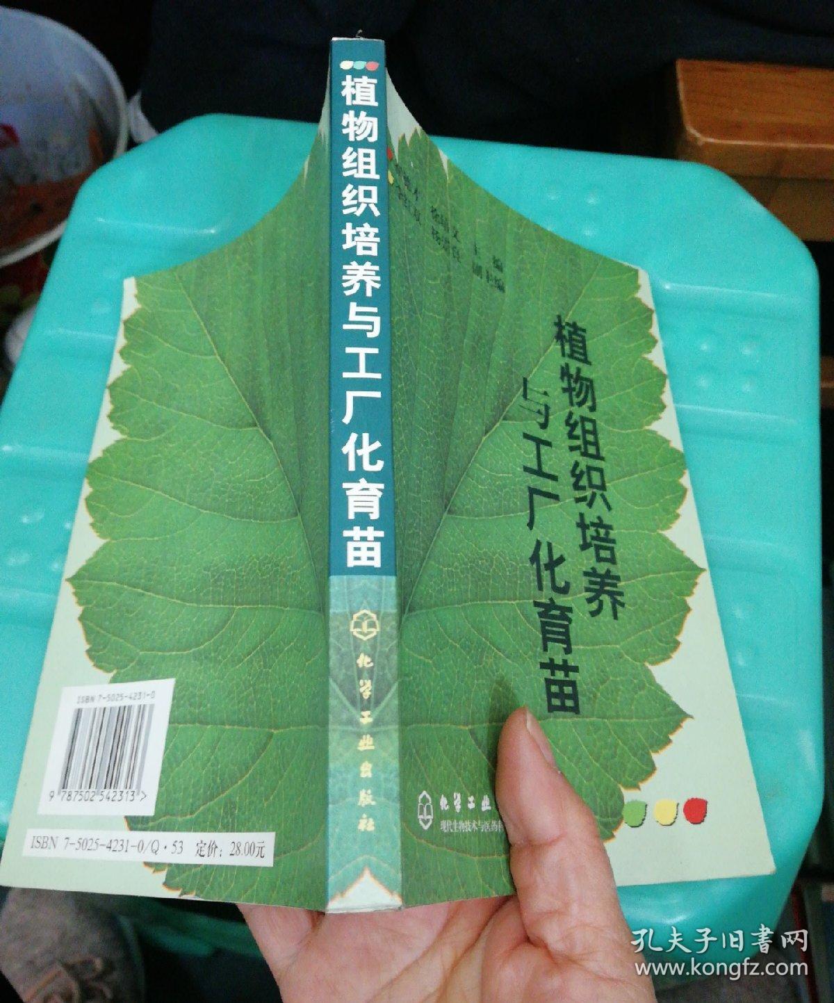 植物組織培養(yǎng) 現(xiàn)代農(nóng)林牧漁技術(shù)推廣的關(guān)鍵驅(qū)動(dòng)力