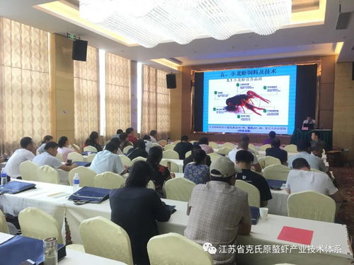 江蘇省克氏原螯蝦產(chǎn)業(yè)技術(shù)體系阜寧推廣示范基地技術(shù)培訓(xùn)活動(dòng)紀(jì)實(shí)