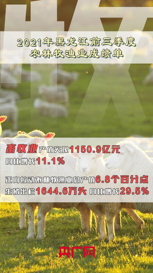 技術(shù)創(chuàng)新助力前三季度農(nóng)林牧漁業(yè)交出亮眼成績單